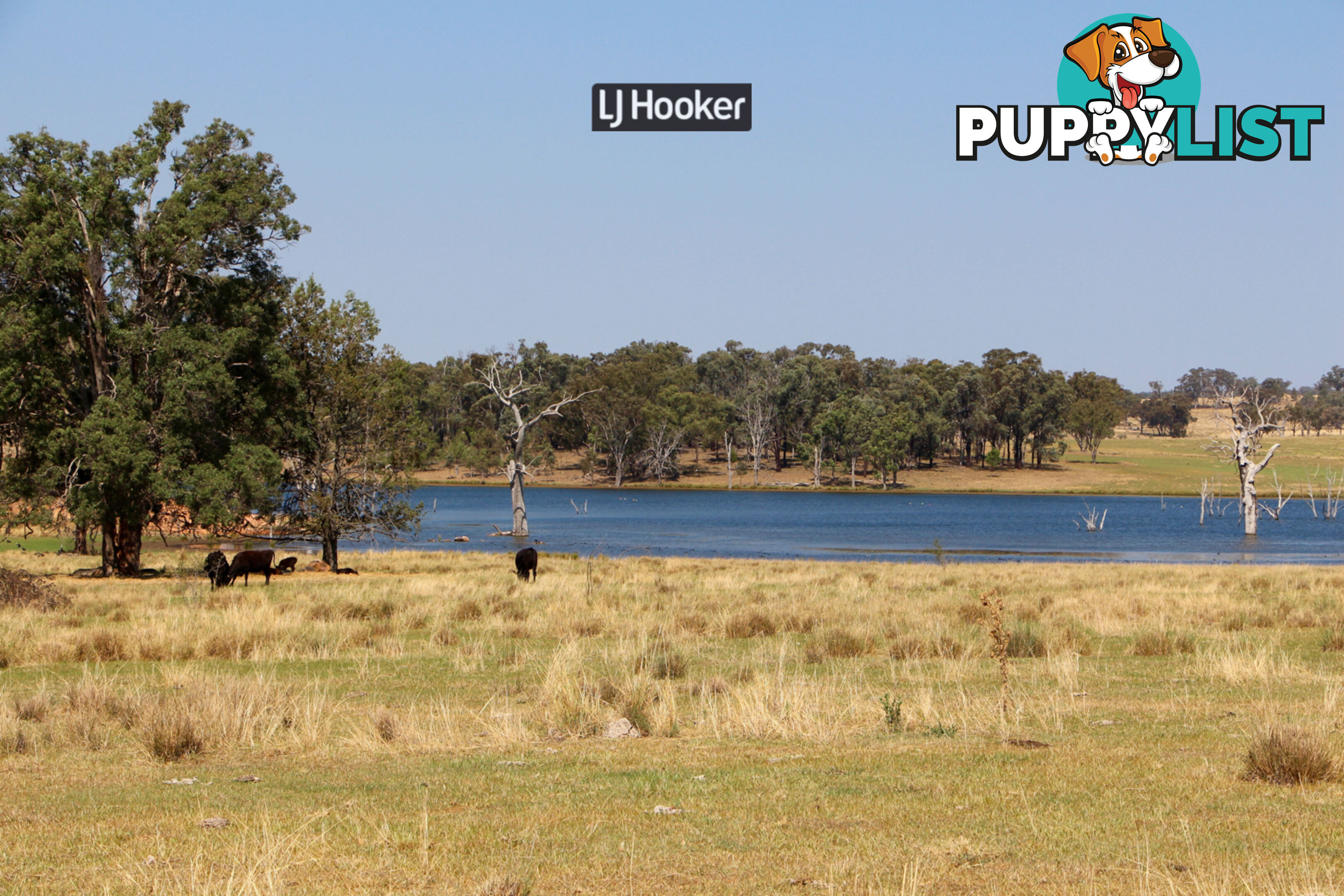 1733 Copeton Dam Road INVERELL NSW 2360