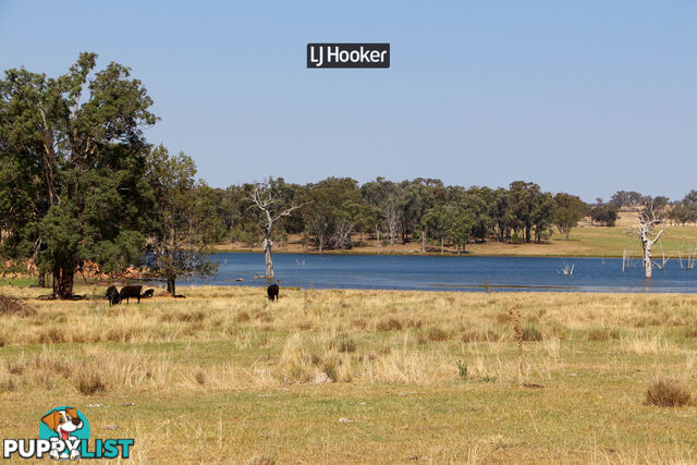 1733 Copeton Dam Road INVERELL NSW 2360