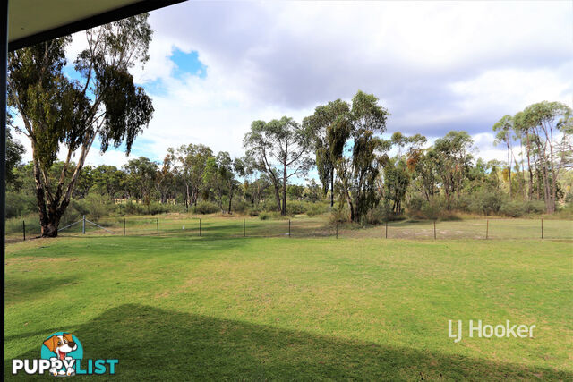 311 Old Stannifer Road INVERELL NSW 2360