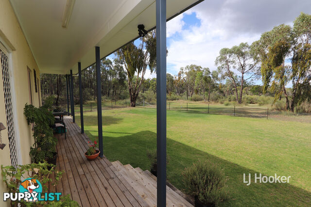 311 Old Stannifer Road INVERELL NSW 2360