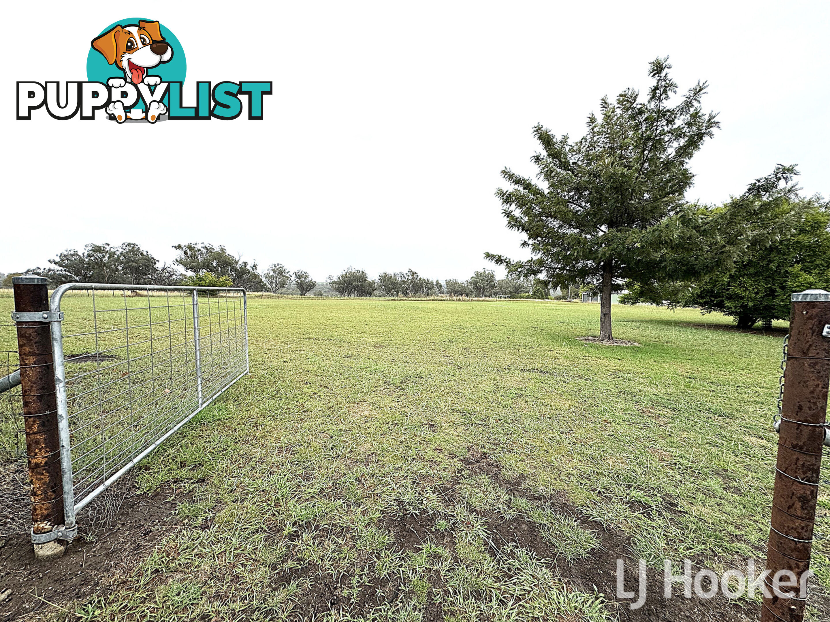 384 Old Bundarra Road INVERELL NSW 2360