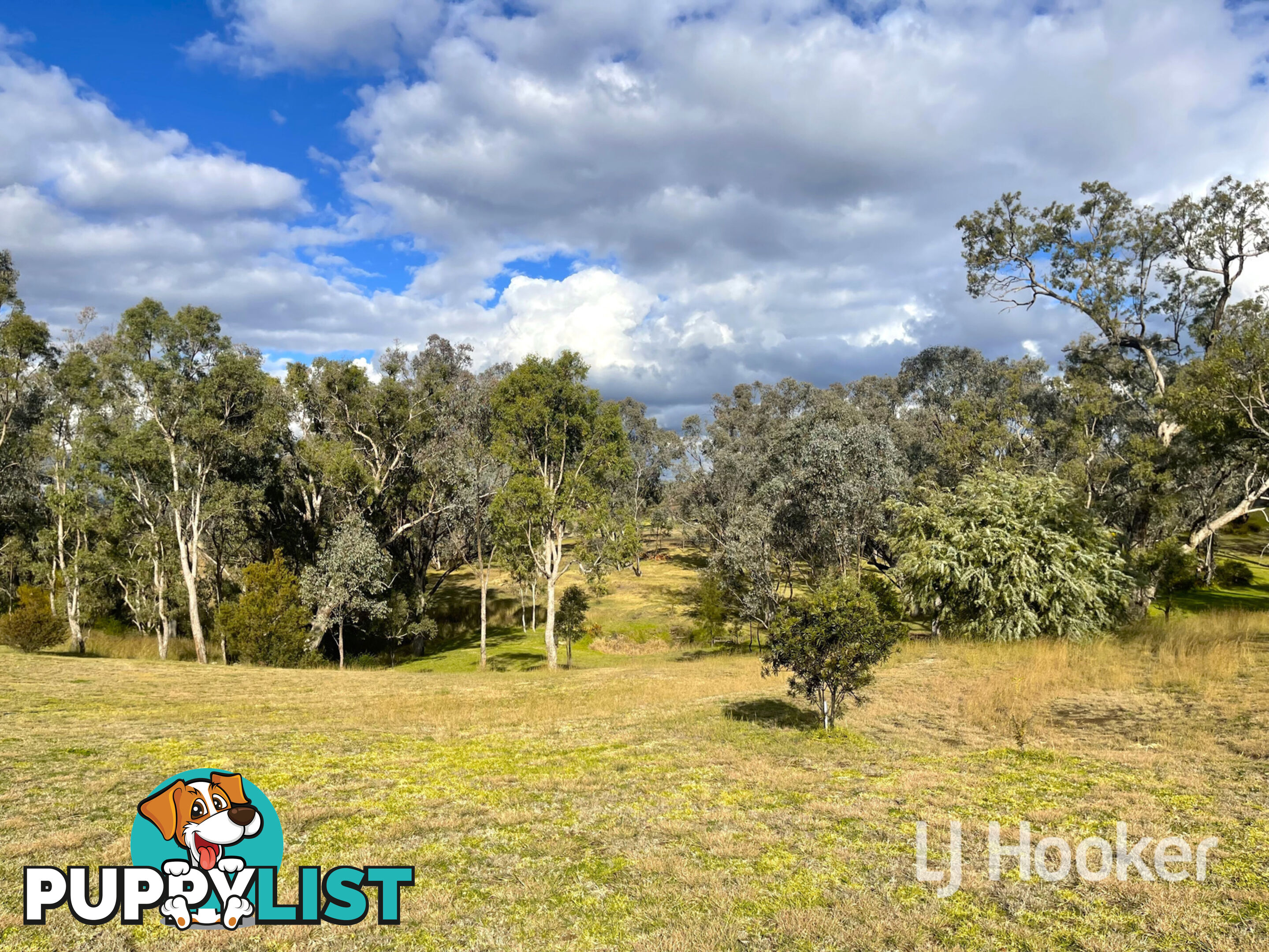 10 Corella Court INVERELL NSW 2360