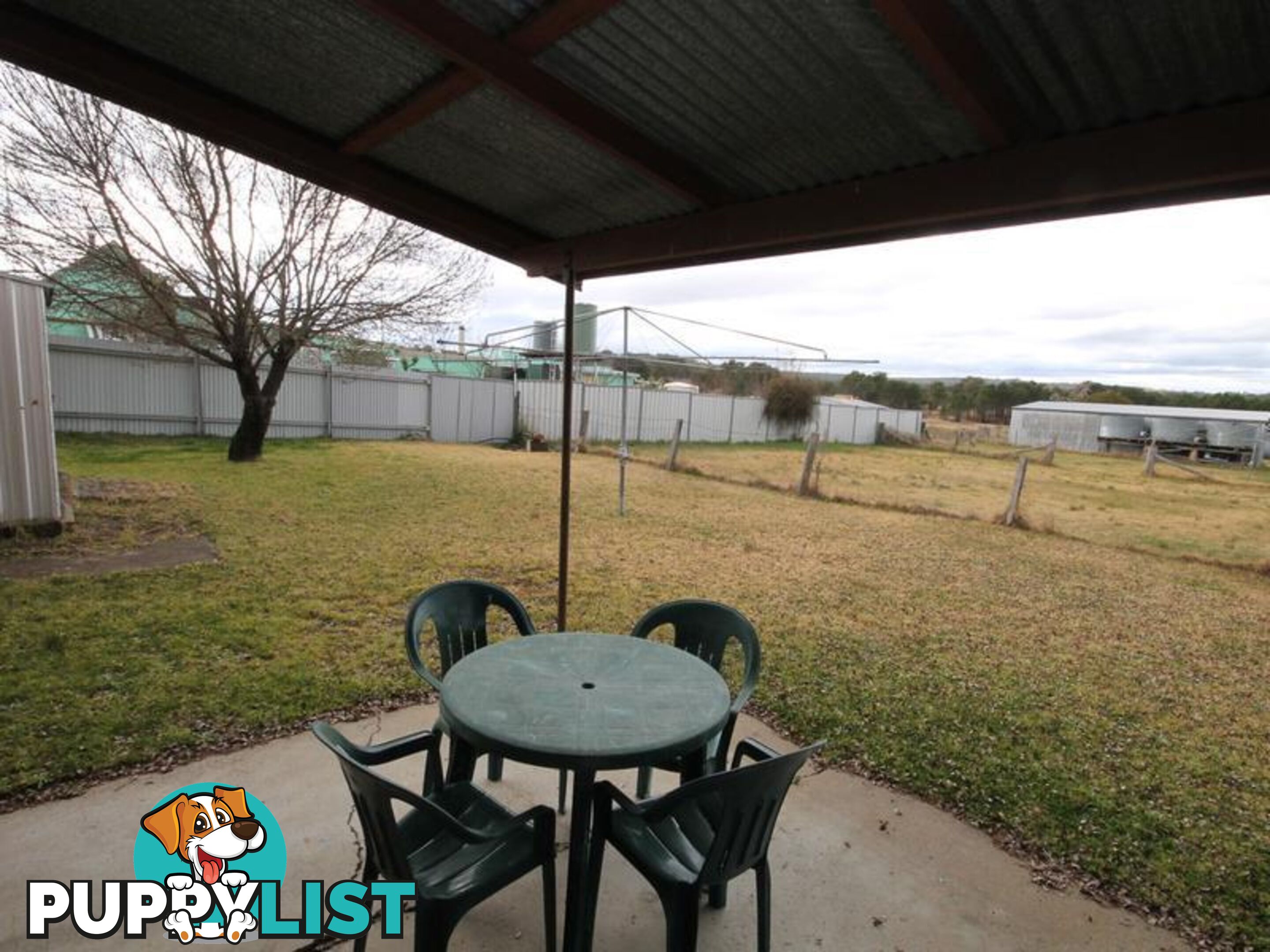 13998 Guyra Road TINGHA NSW 2369