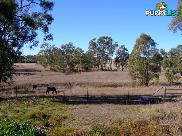 79 Coopers Lane INVERELL NSW 2360