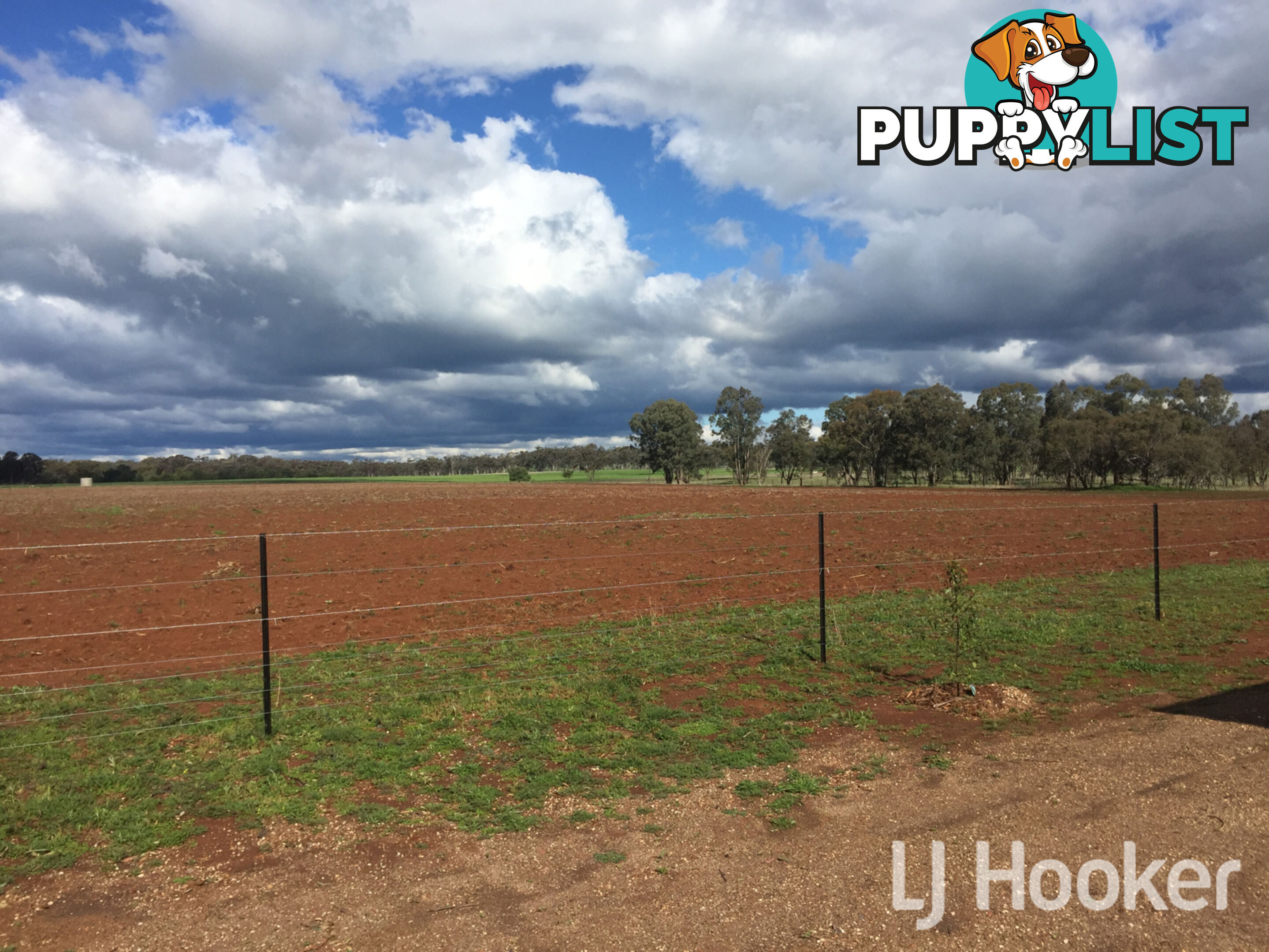 76 Thomas Lane INVERELL NSW 2360