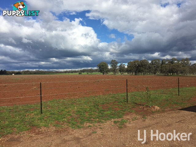 76 Thomas Lane INVERELL NSW 2360