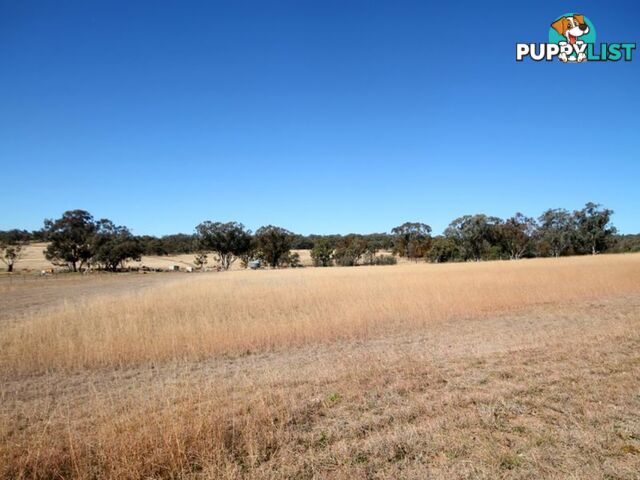 Old Bundarra Road INVERELL NSW 2360