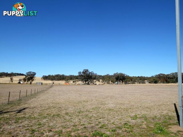 Old Bundarra Road INVERELL NSW 2360