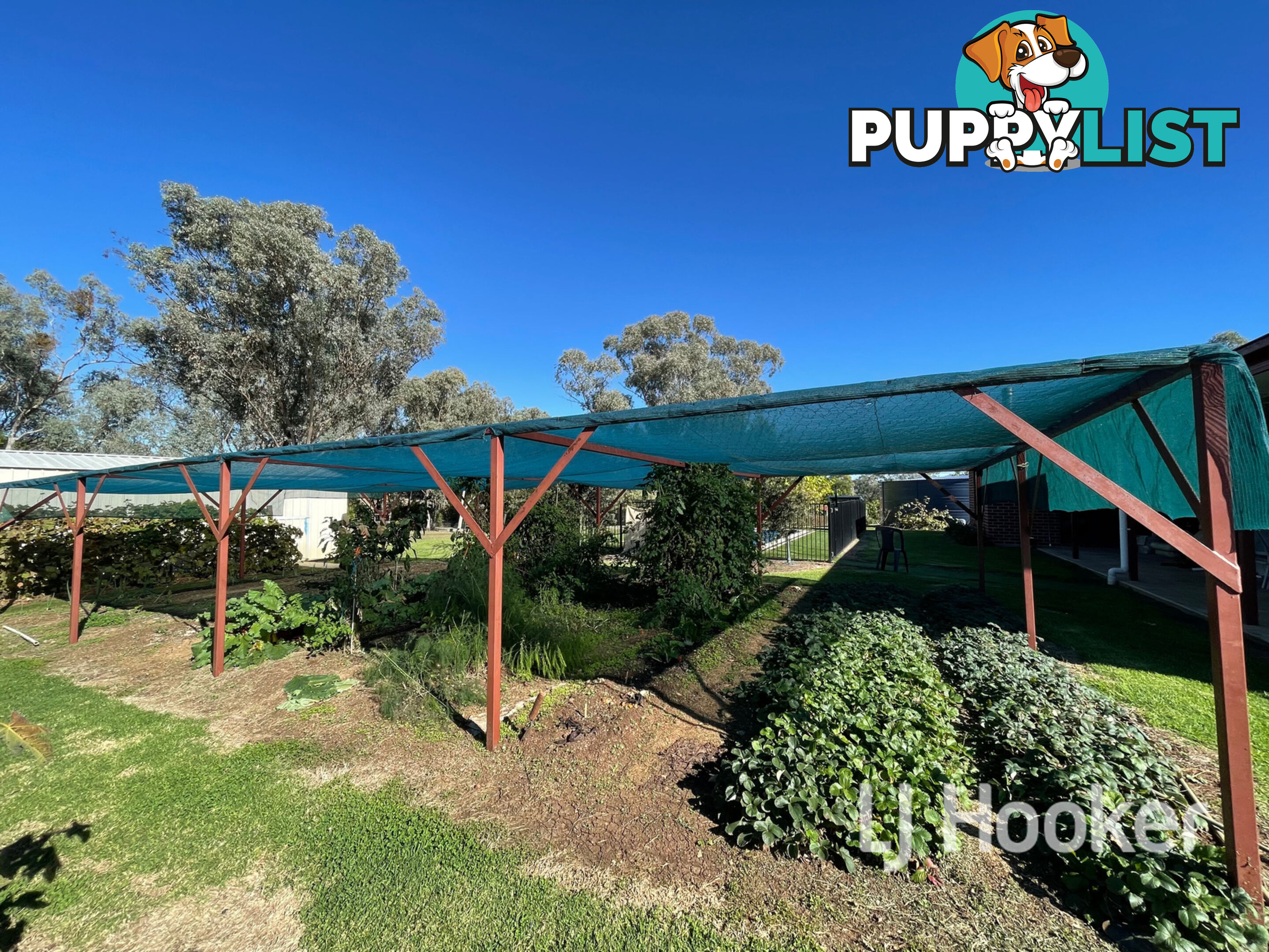 36 Bimbadeen Drive INVERELL NSW 2360