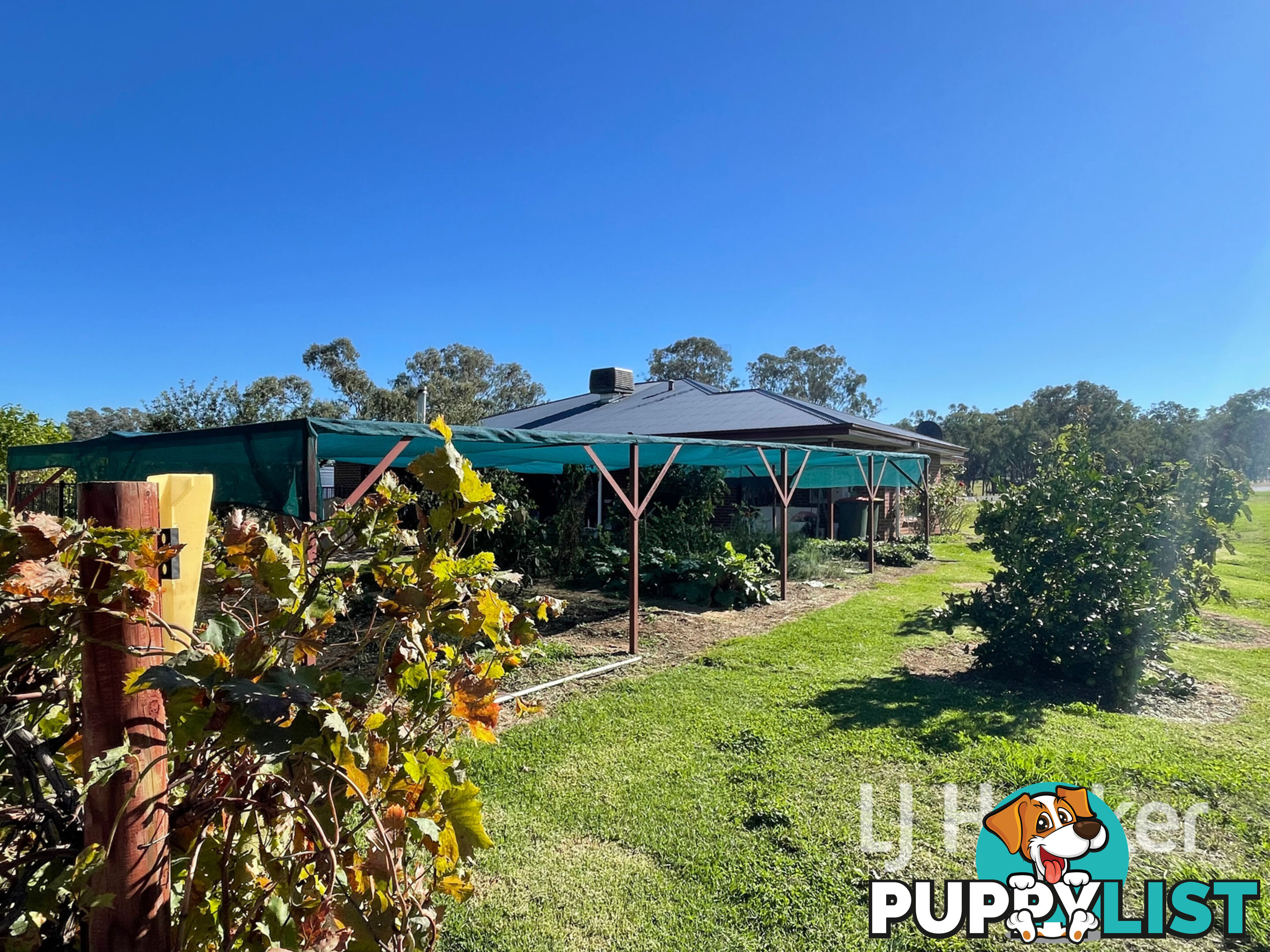 36 Bimbadeen Drive INVERELL NSW 2360