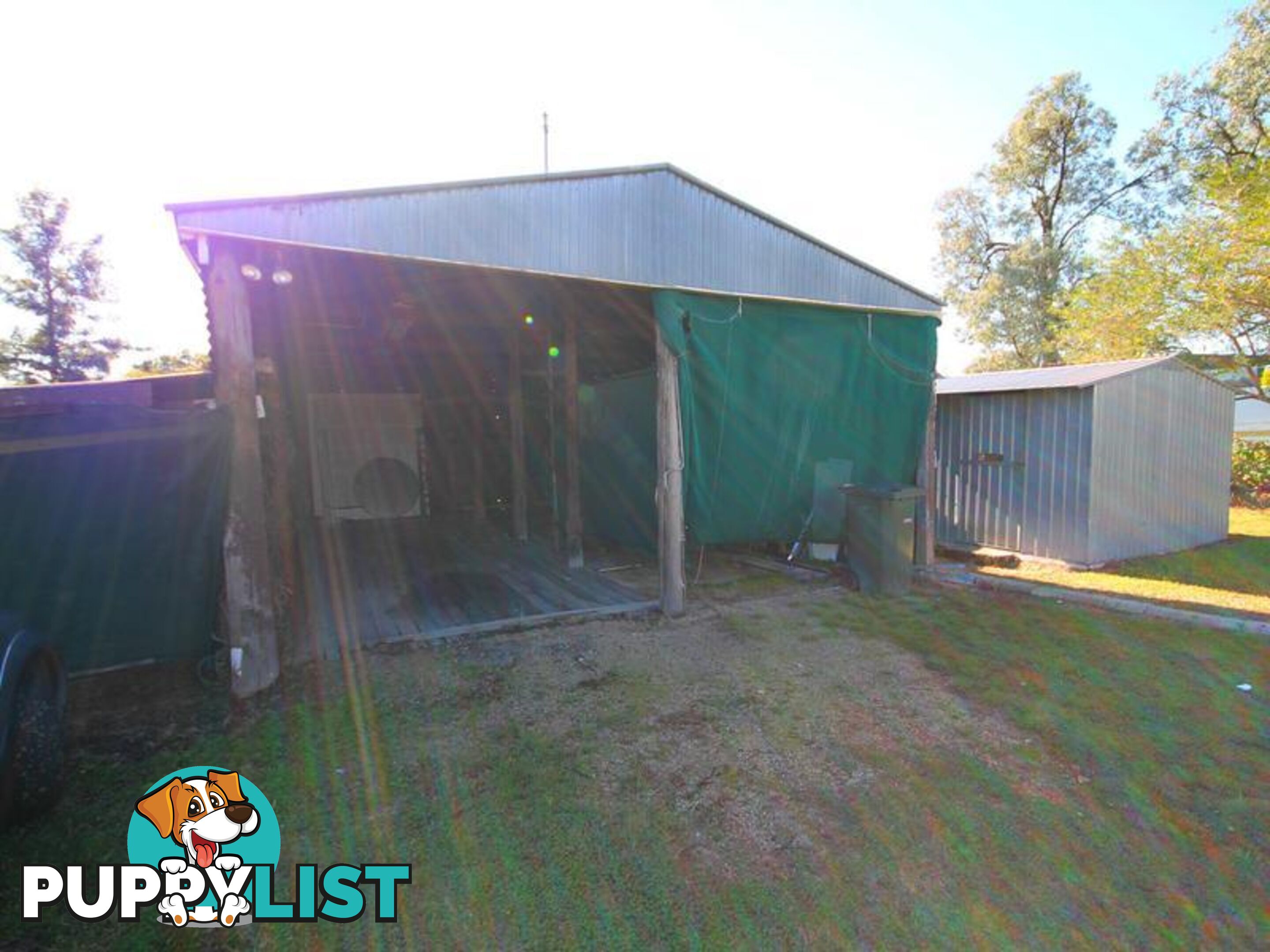 10 Bukkulla Street ASHFORD NSW 2361