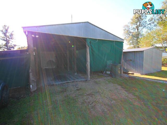 10 Bukkulla Street ASHFORD NSW 2361