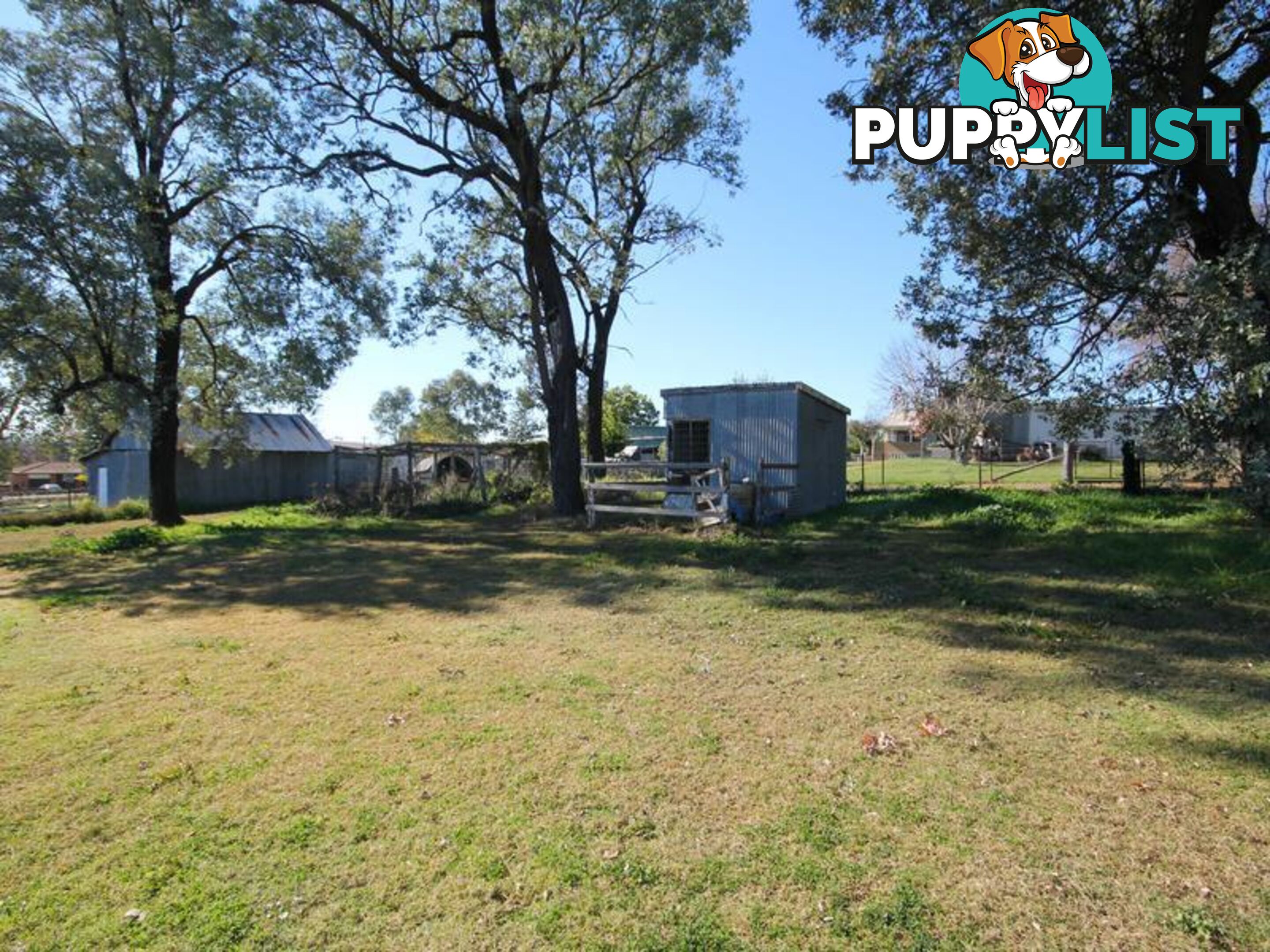 10 Bukkulla Street ASHFORD NSW 2361