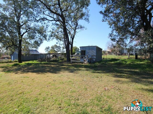 10 Bukkulla Street ASHFORD NSW 2361