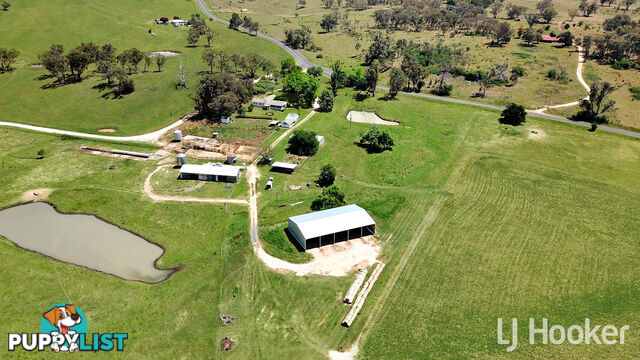 158 Elsmore Road INVERELL NSW 2360