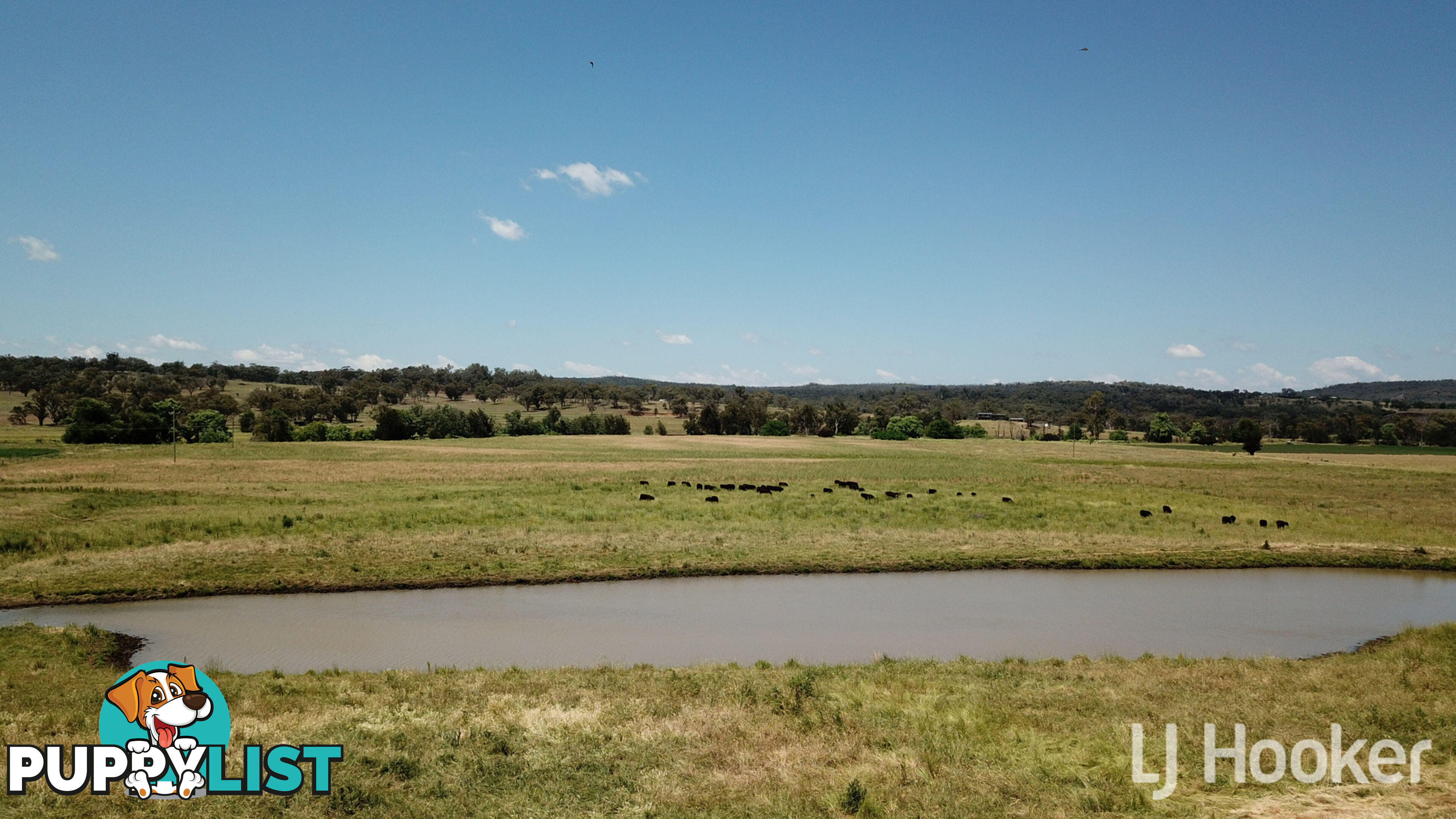 158 Elsmore Road INVERELL NSW 2360