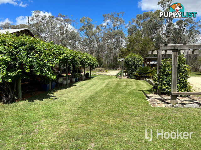 118 Mcneils Road INVERELL NSW 2360