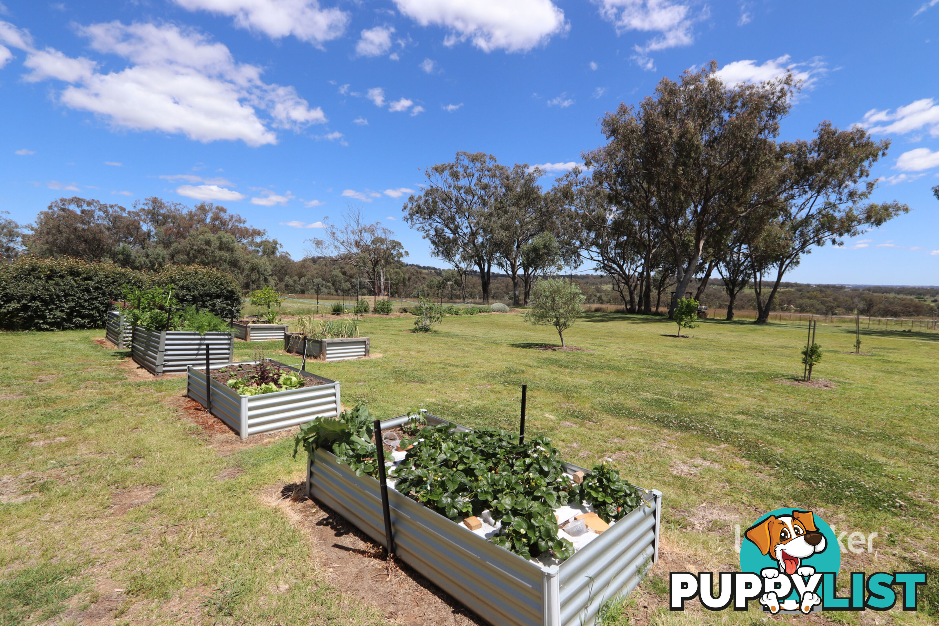 Tanamera Talbragar Close INVERELL NSW 2360