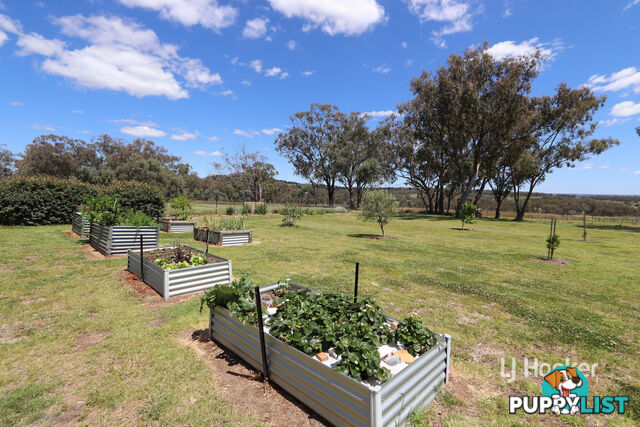 Tanamera Talbragar Close INVERELL NSW 2360