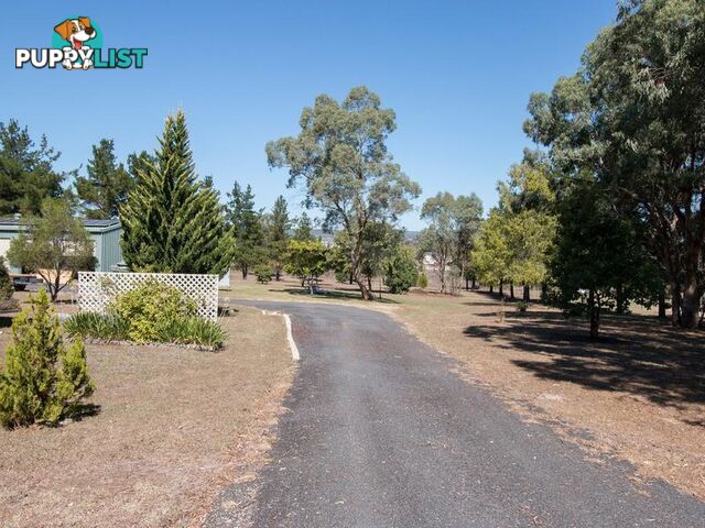 30 McIvor Street INVERELL NSW 2360