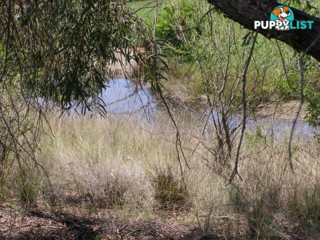 Lot 6 Oakland Place INVERELL NSW 2360