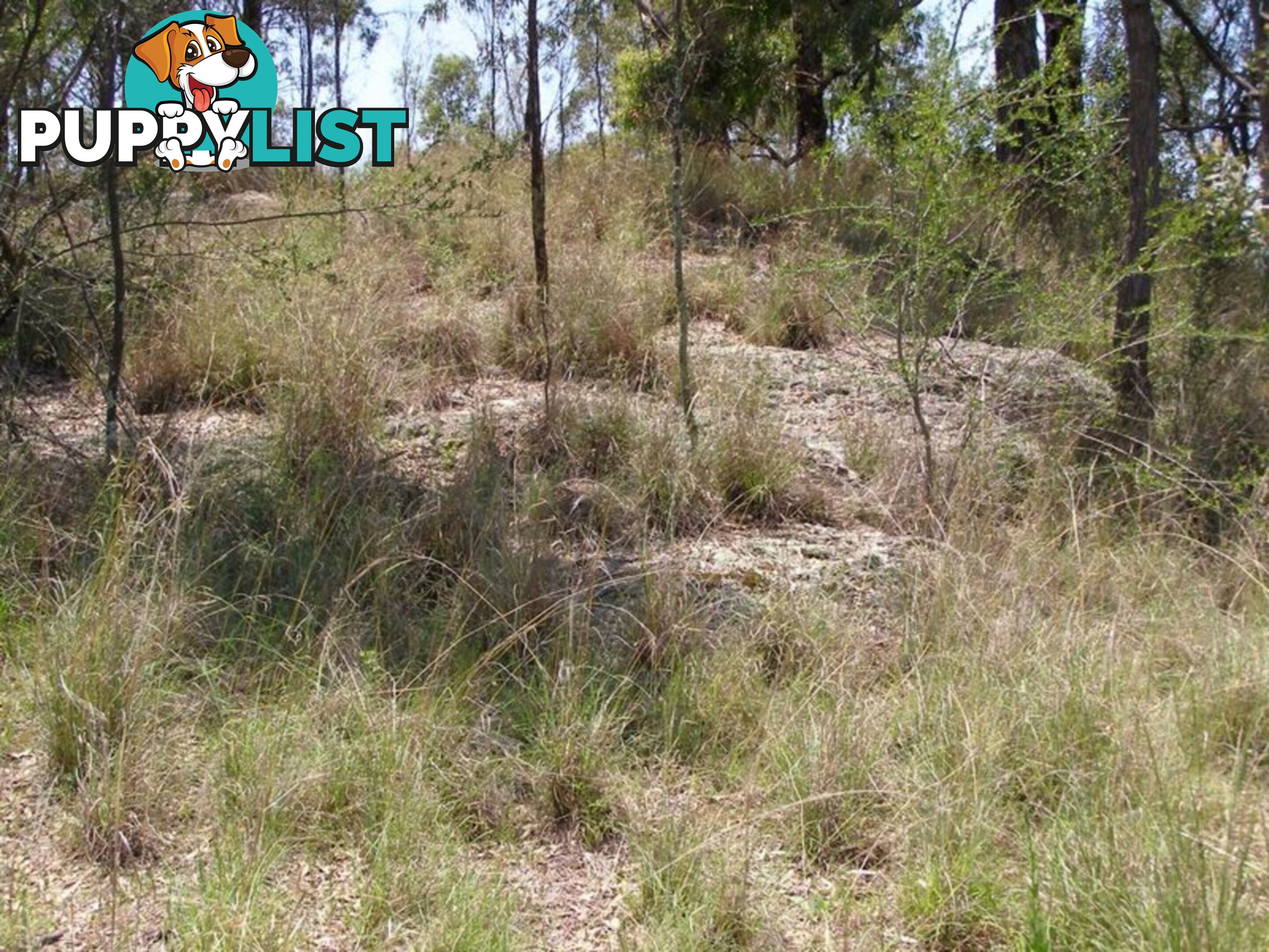 Lot 6 Oakland Place INVERELL NSW 2360