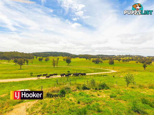 524 Westbrook Road INVERELL NSW 2360