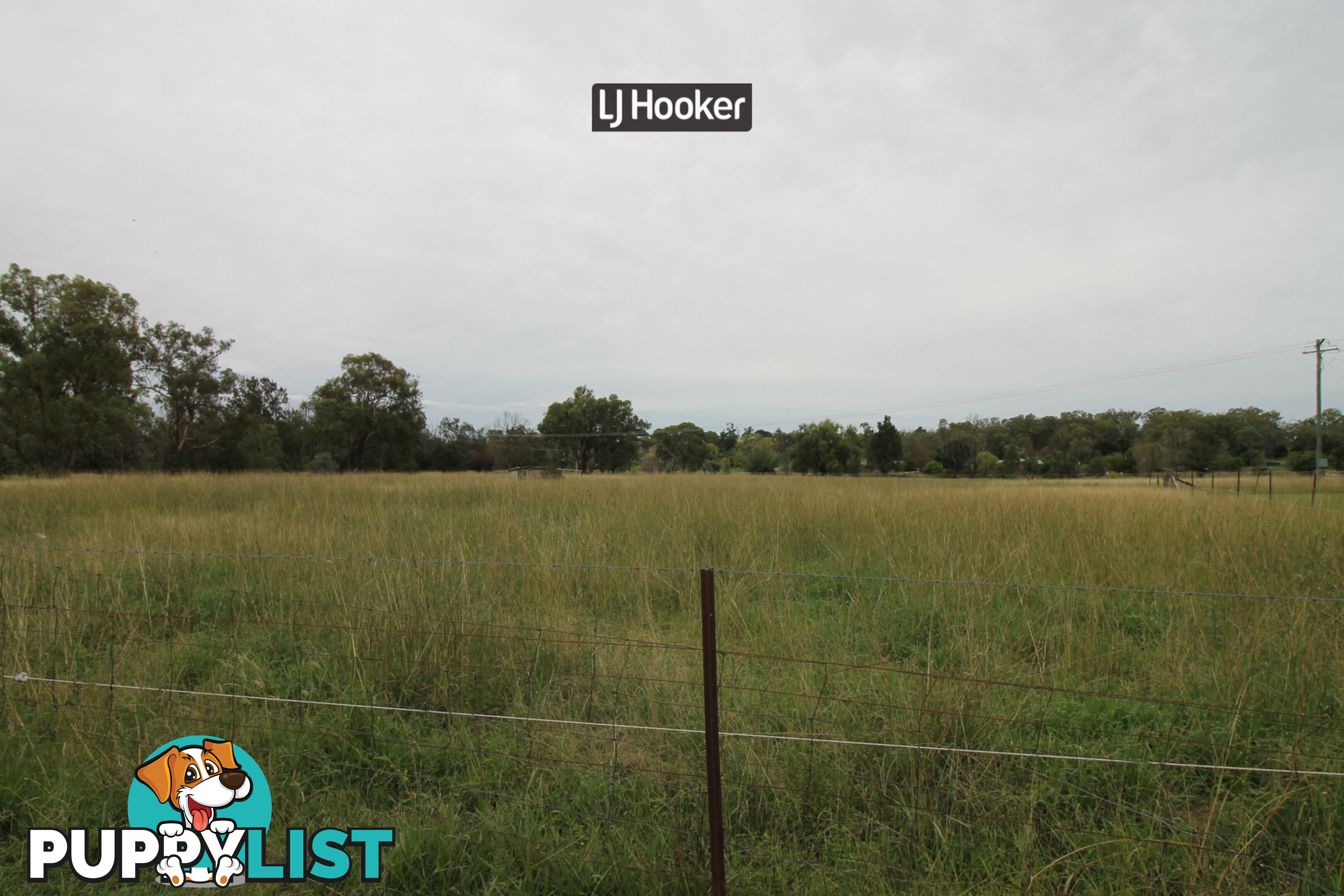 5 Moore Street INVERELL NSW 2360