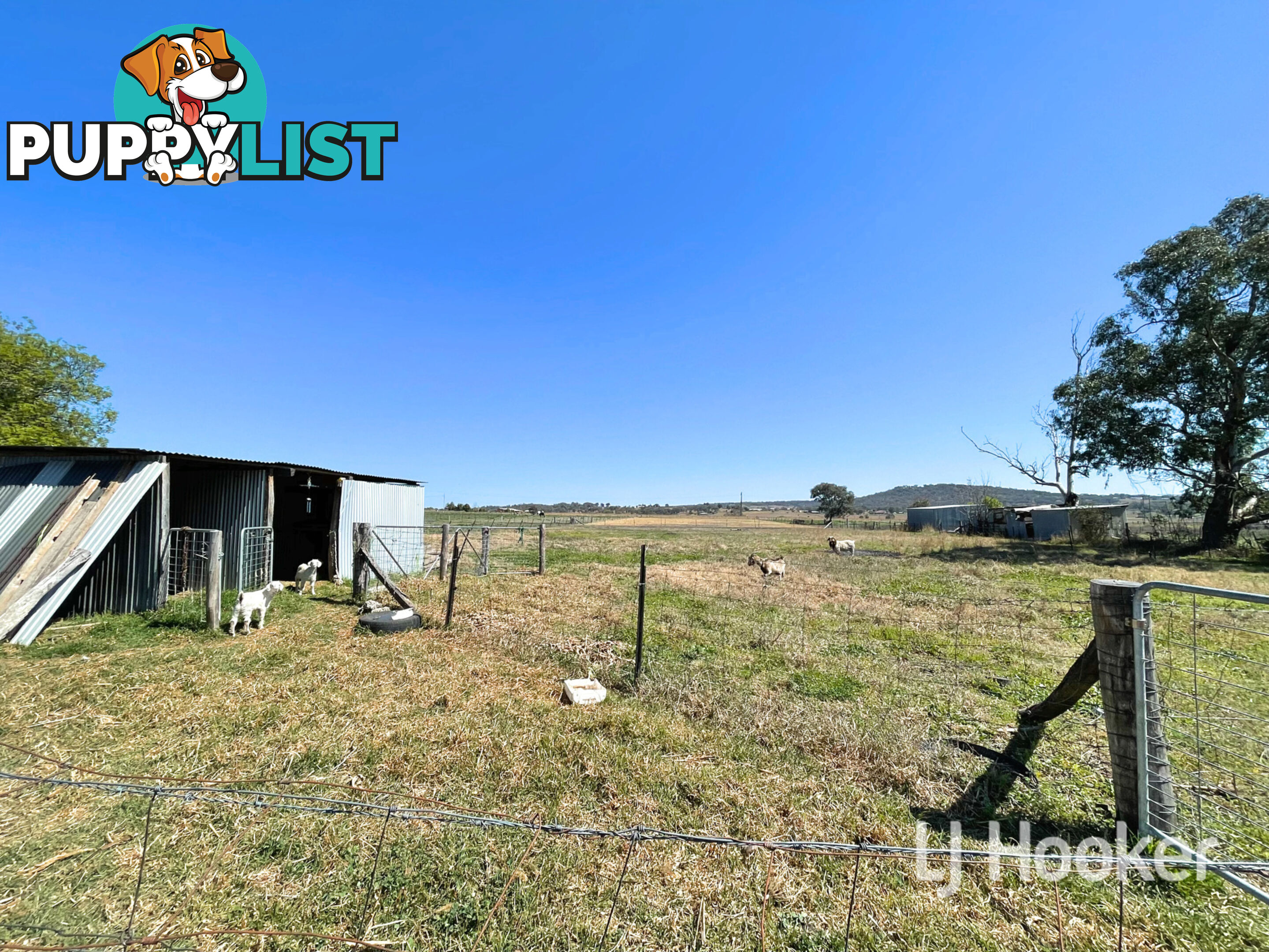 220 Old Bundarra Road INVERELL NSW 2360