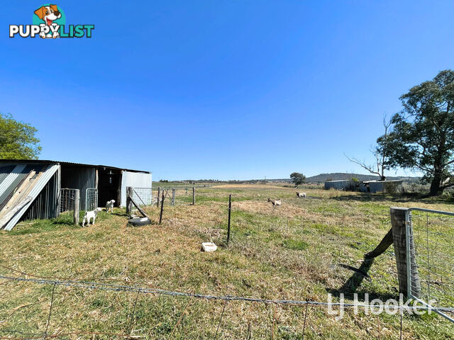 220 Old Bundarra Road INVERELL NSW 2360