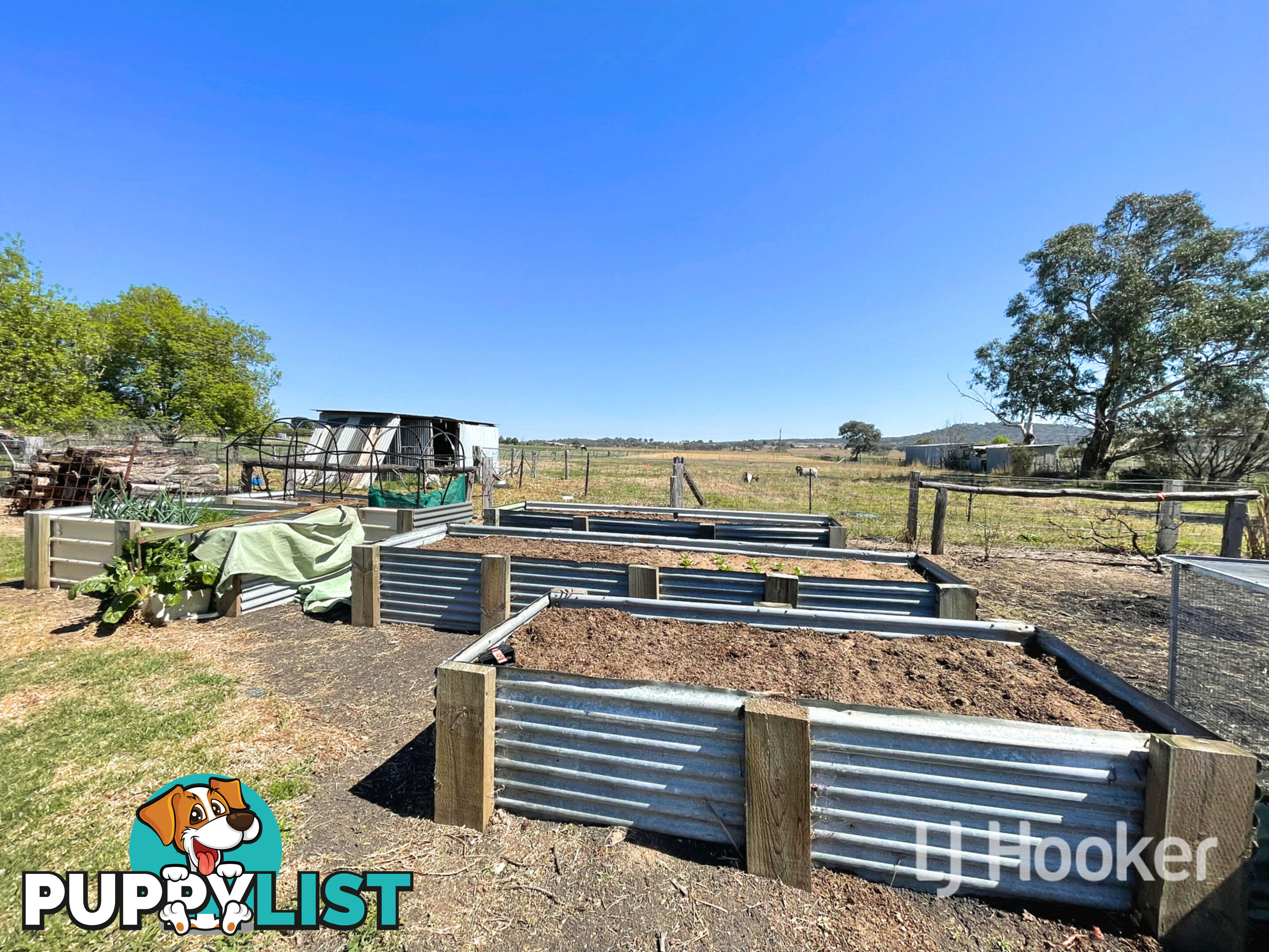 220 Old Bundarra Road INVERELL NSW 2360