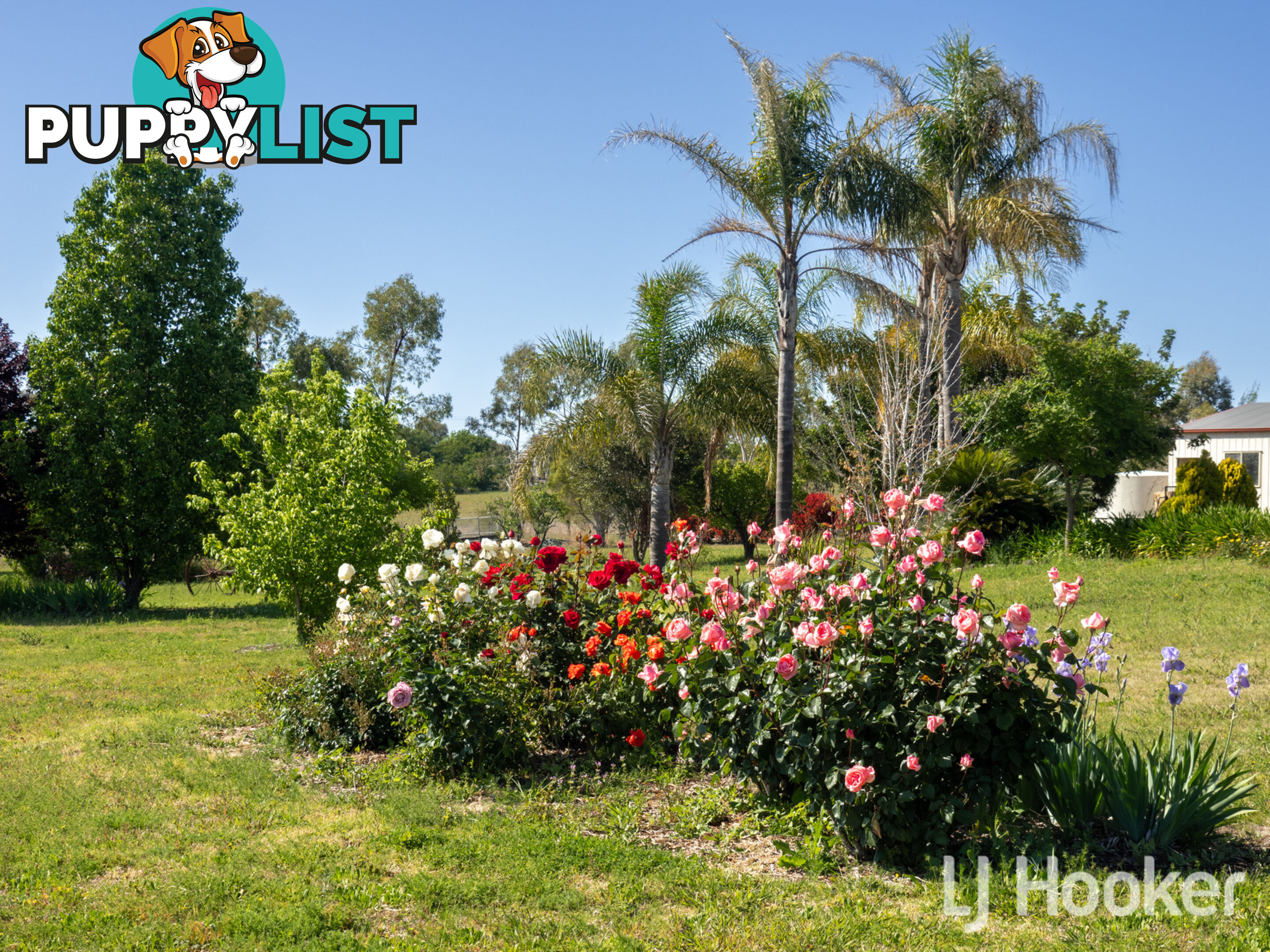 38 Hampton Court INVERELL NSW 2360