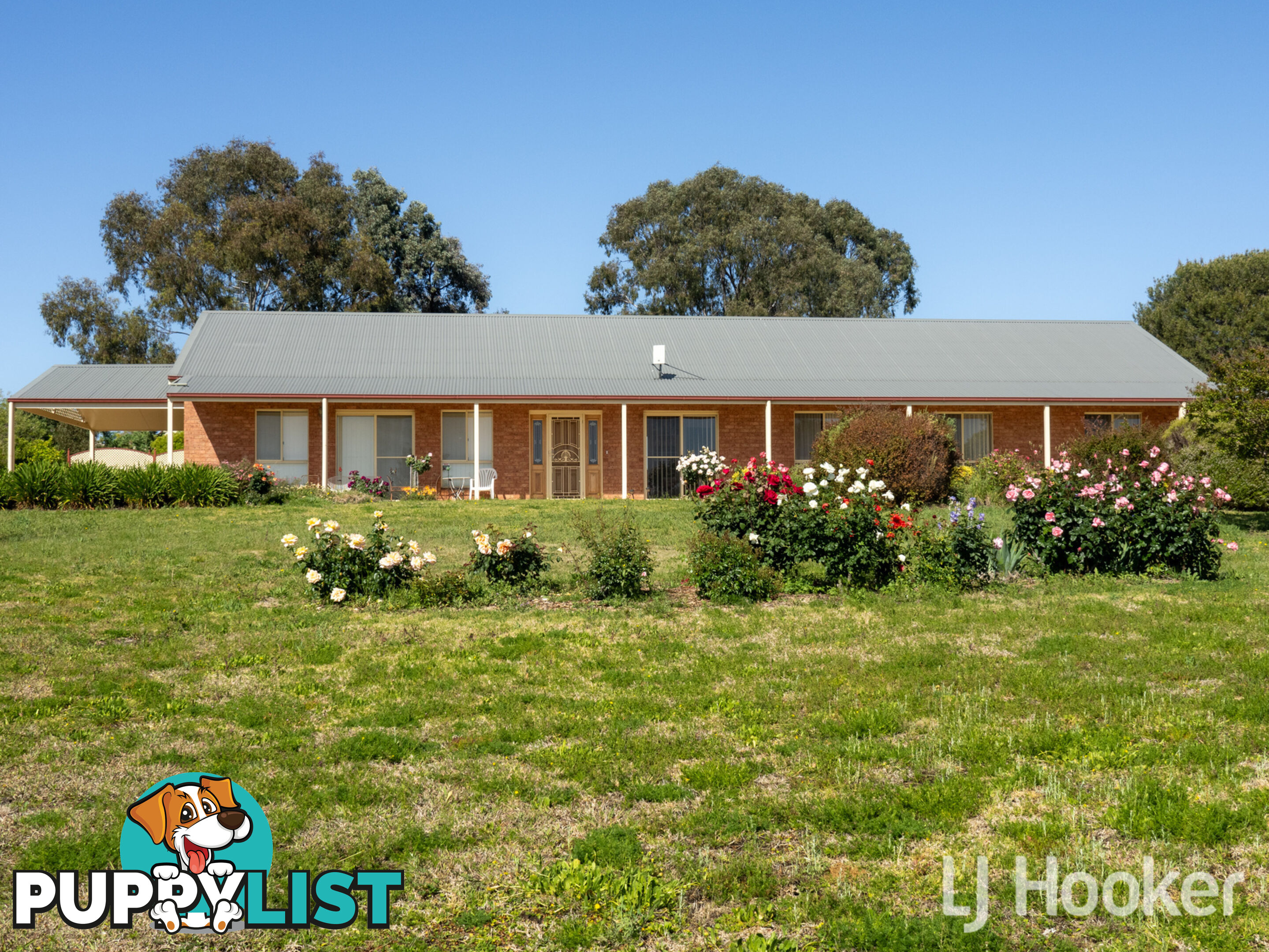 38 Hampton Court INVERELL NSW 2360