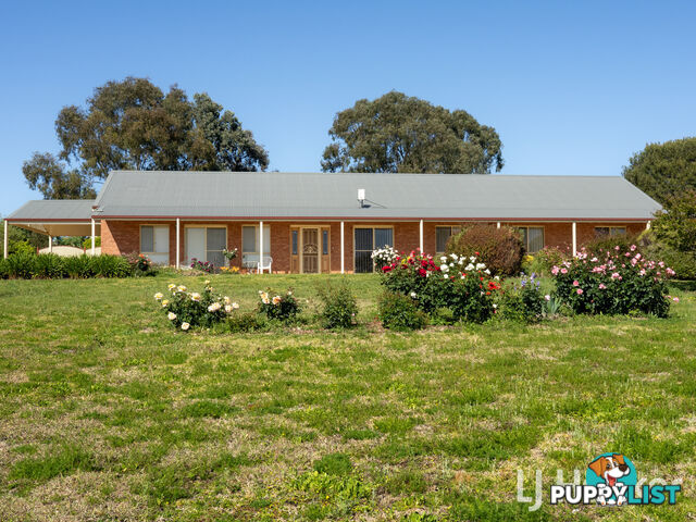 38 Hampton Court INVERELL NSW 2360