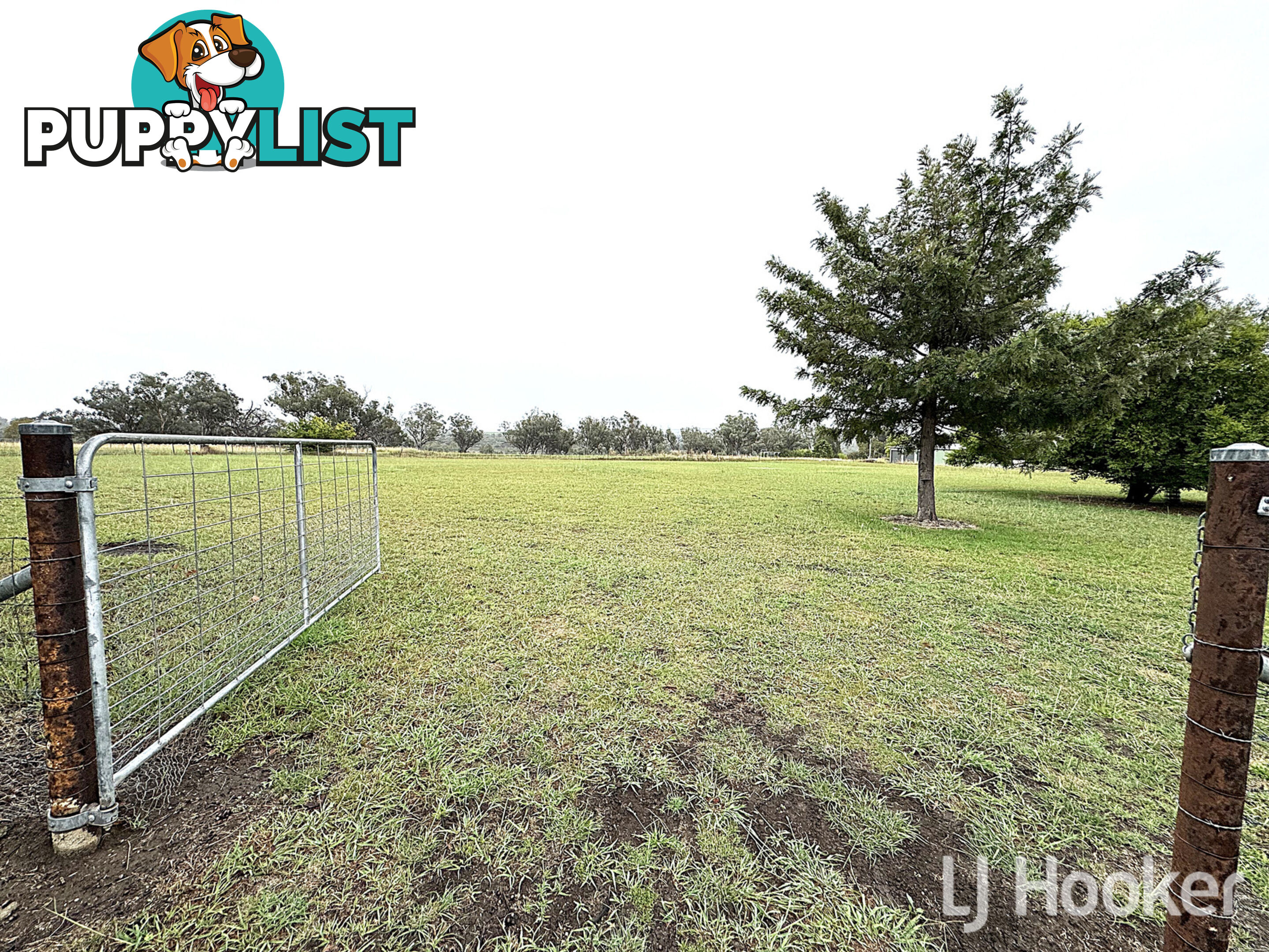 384 Old Bundarra Road INVERELL NSW 2360