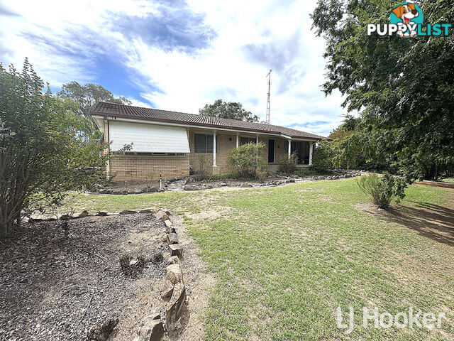 32 Frazer Street ASHFORD NSW 2361