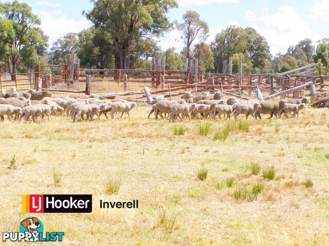 1178 Moredun Dams Road INVERELL NSW 2360