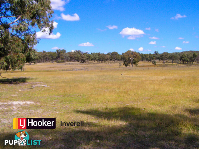 1178 Moredun Dams Road INVERELL NSW 2360