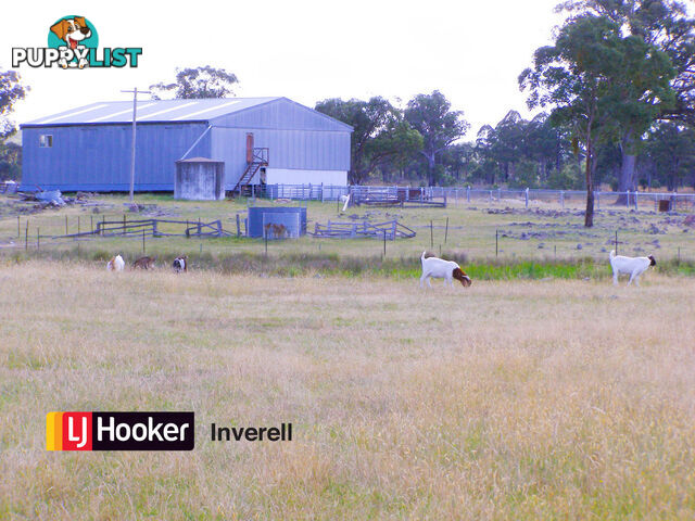 1178 Moredun Dams Road INVERELL NSW 2360