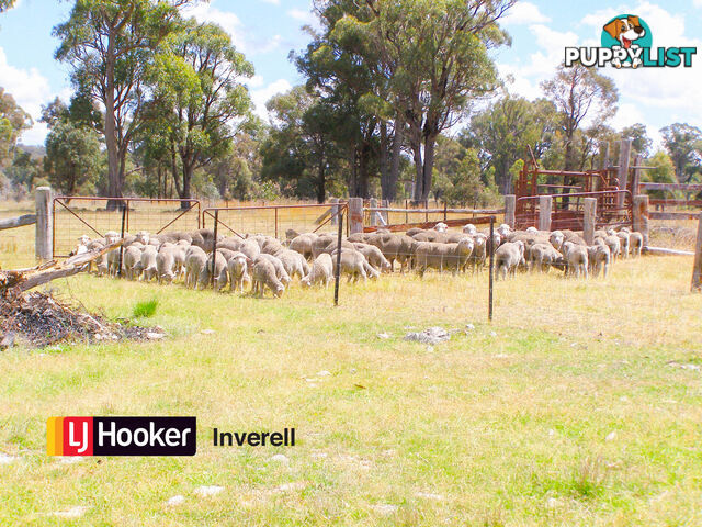 1178 Moredun Dams Road INVERELL NSW 2360