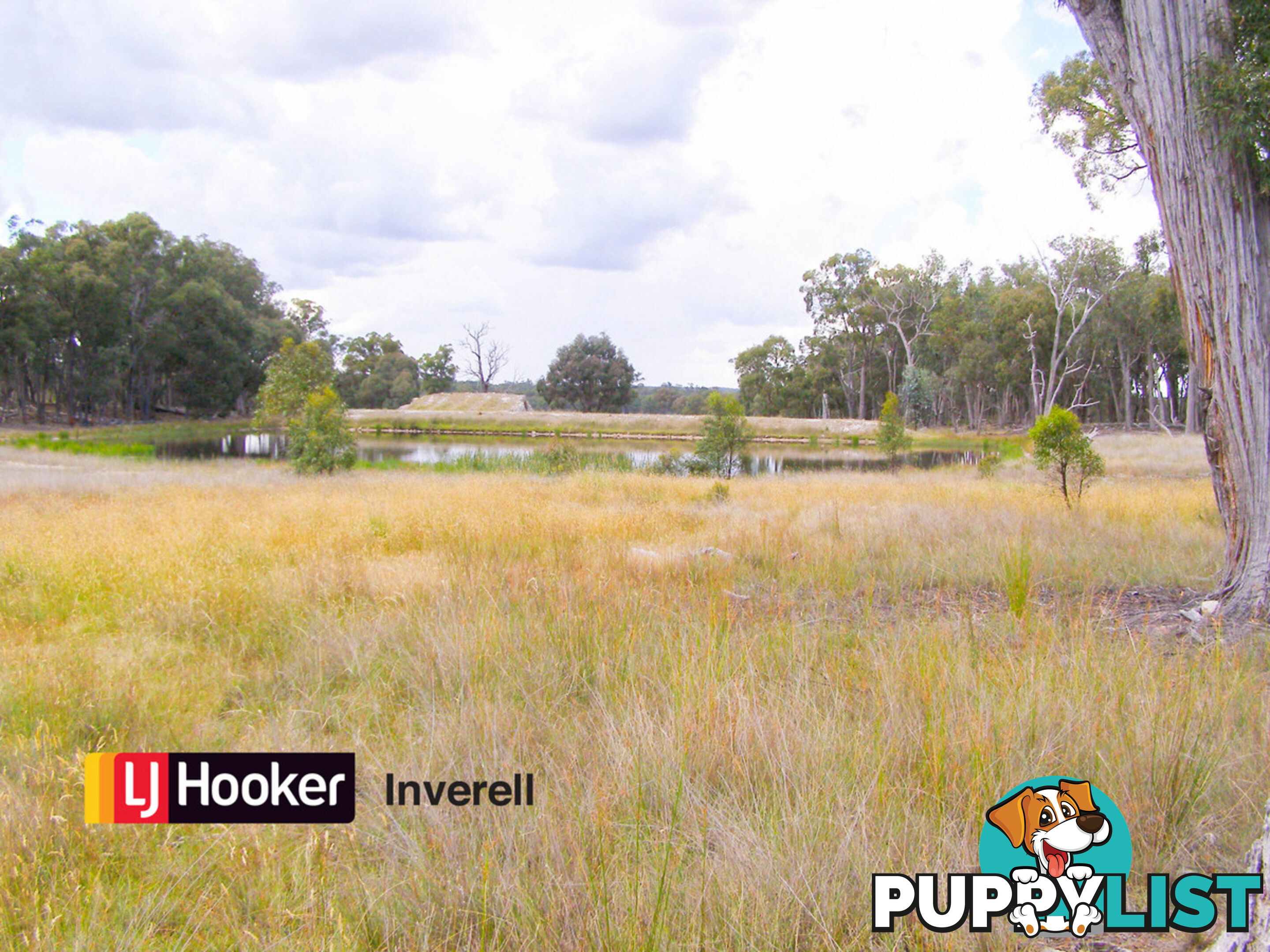 1178 Moredun Dams Road INVERELL NSW 2360