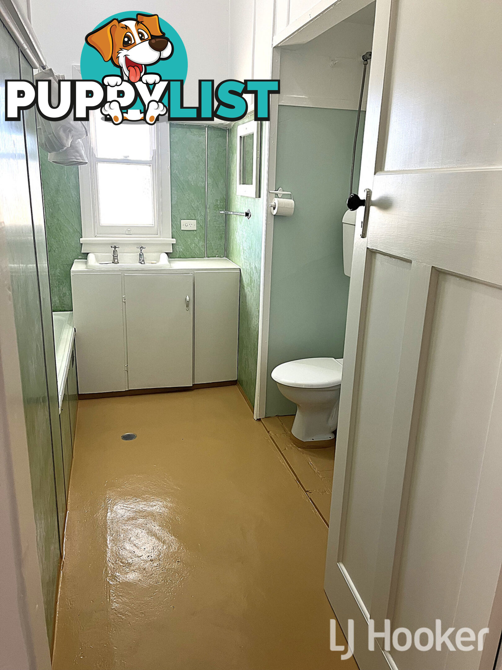 45 Duff Street ASHFORD NSW 2361