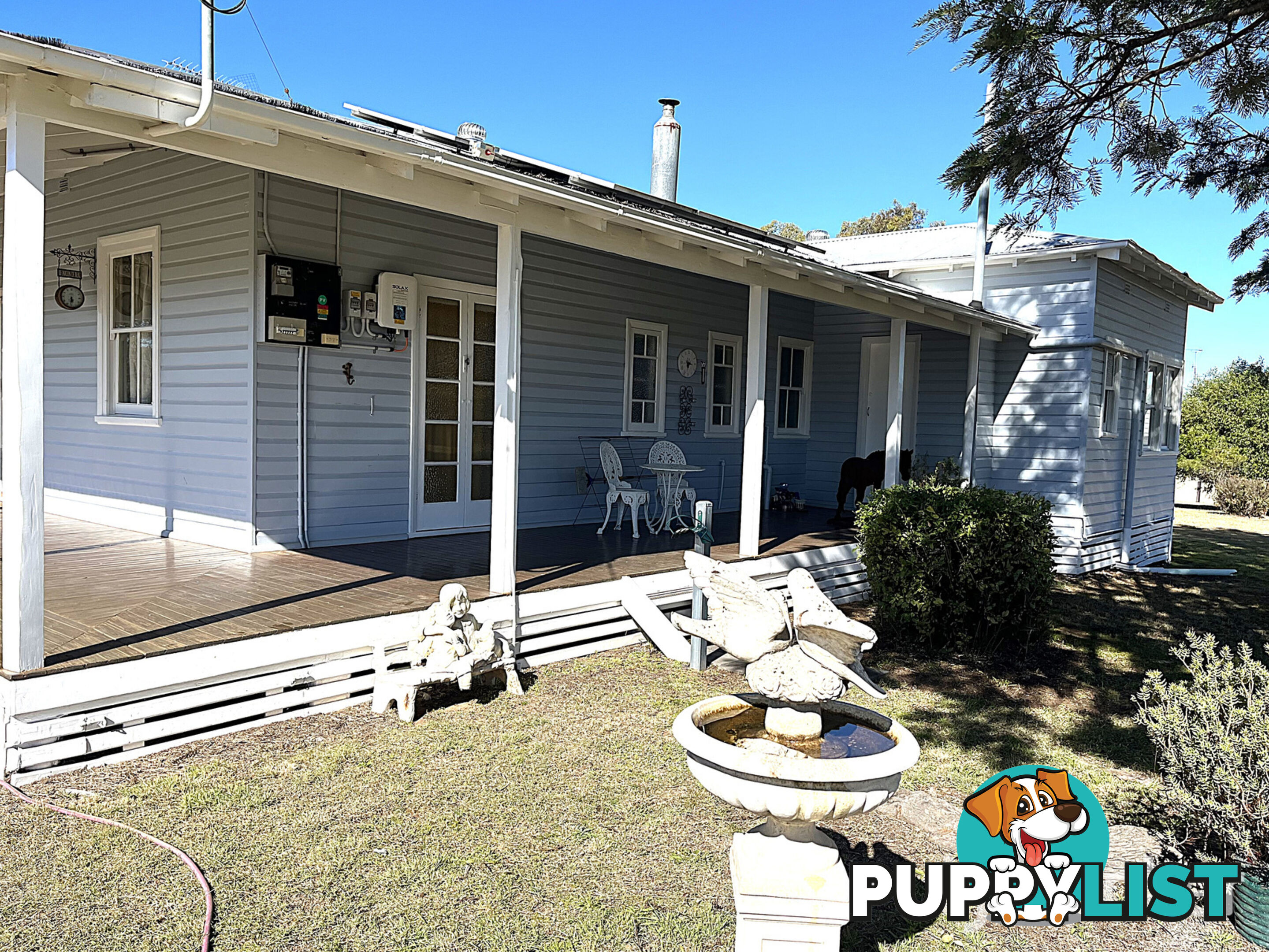 45 Duff Street ASHFORD NSW 2361