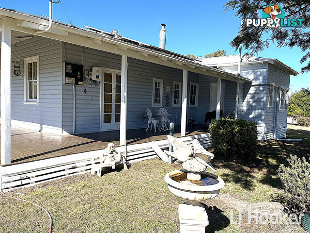 45 Duff Street ASHFORD NSW 2361