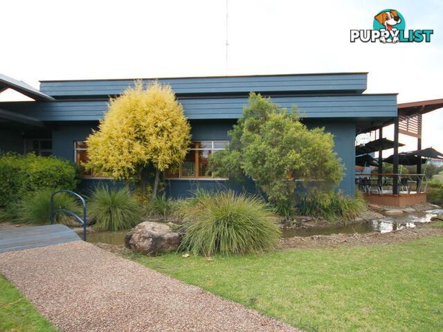 13-31 Campbell Street INVERELL NSW 2360