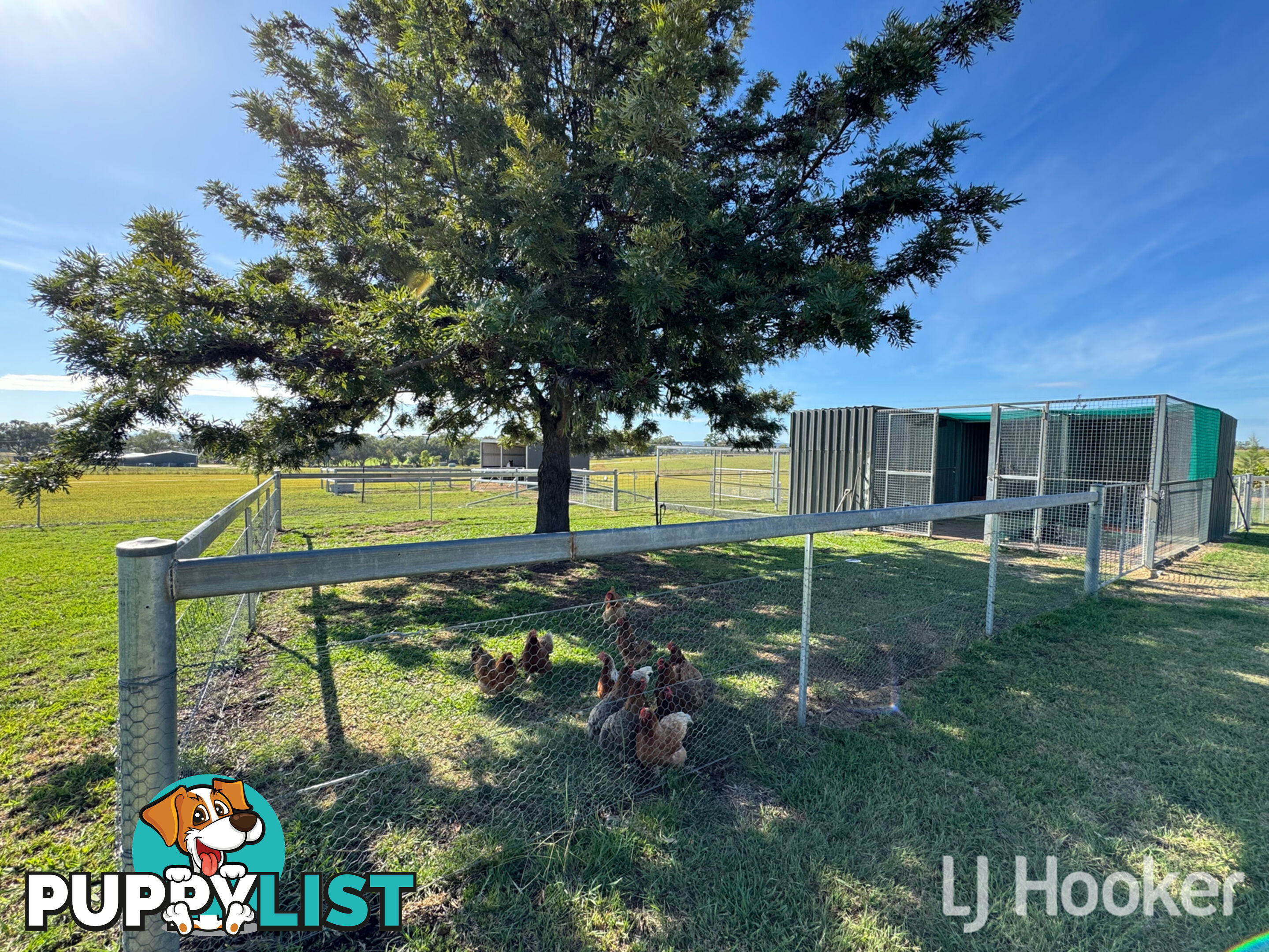 496 Yetman Road INVERELL NSW 2360