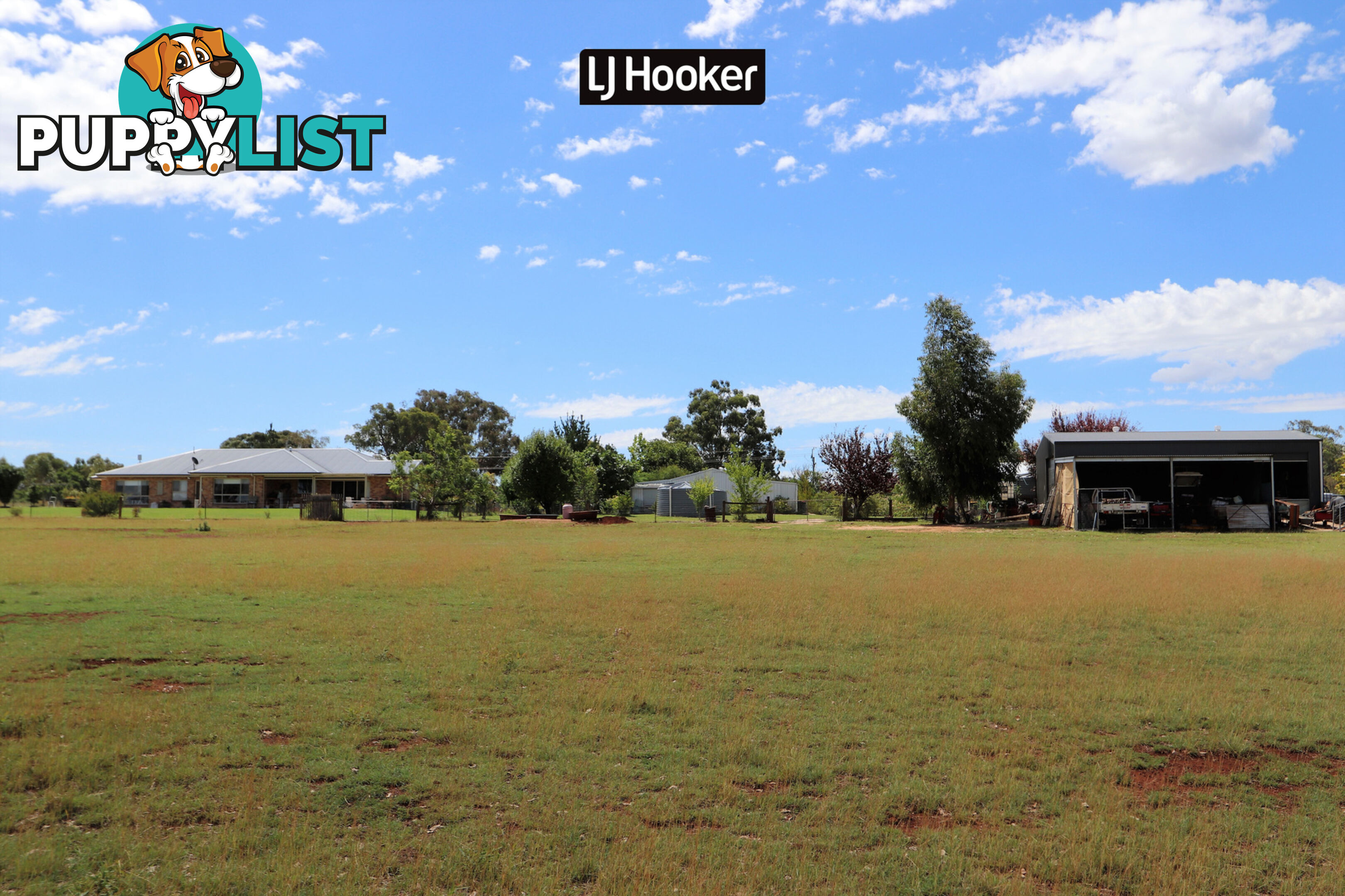 355 Copeton Dam Road INVERELL NSW 2360