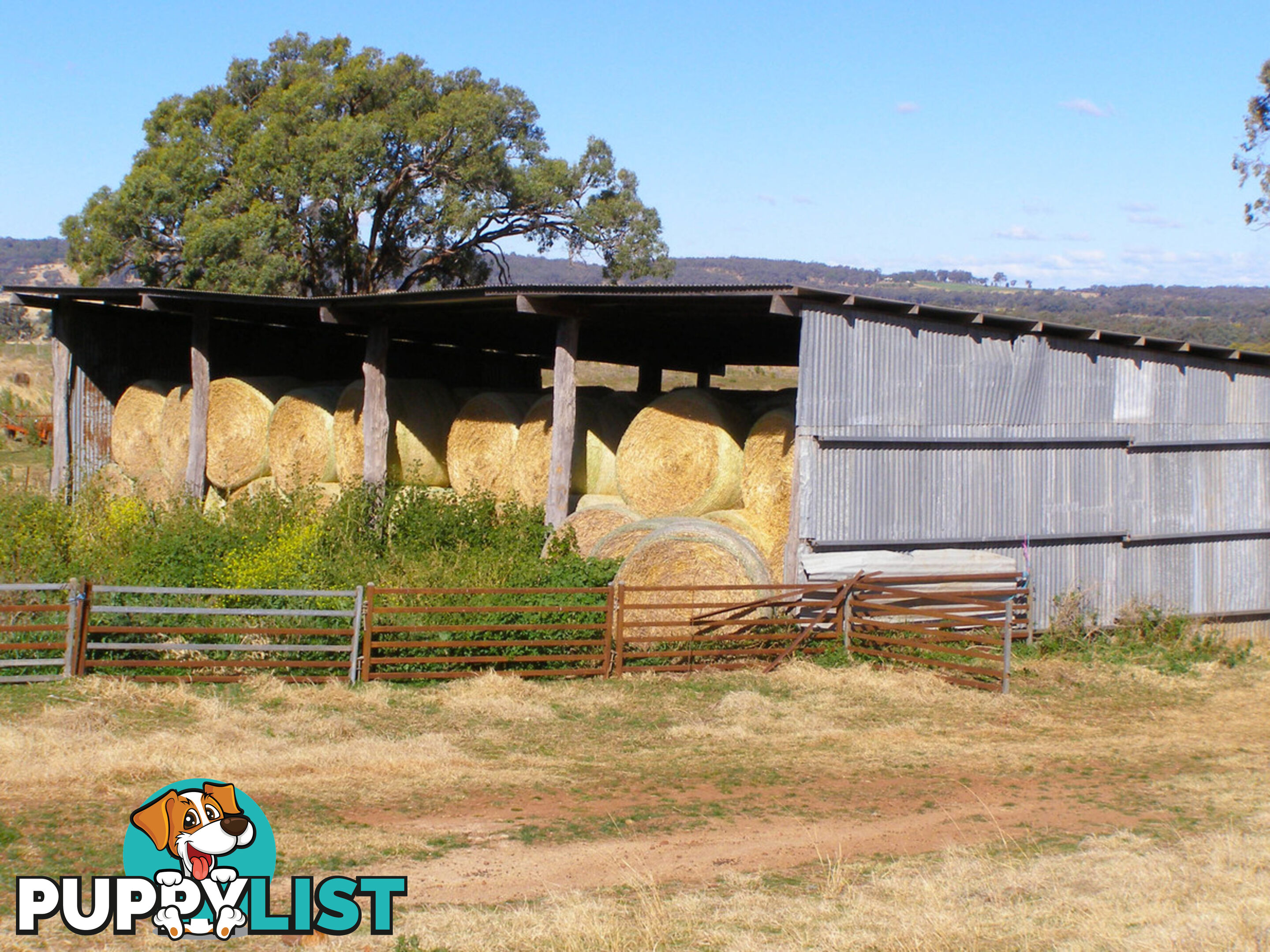 8263 Gwydir Highway INVERELL NSW 2360