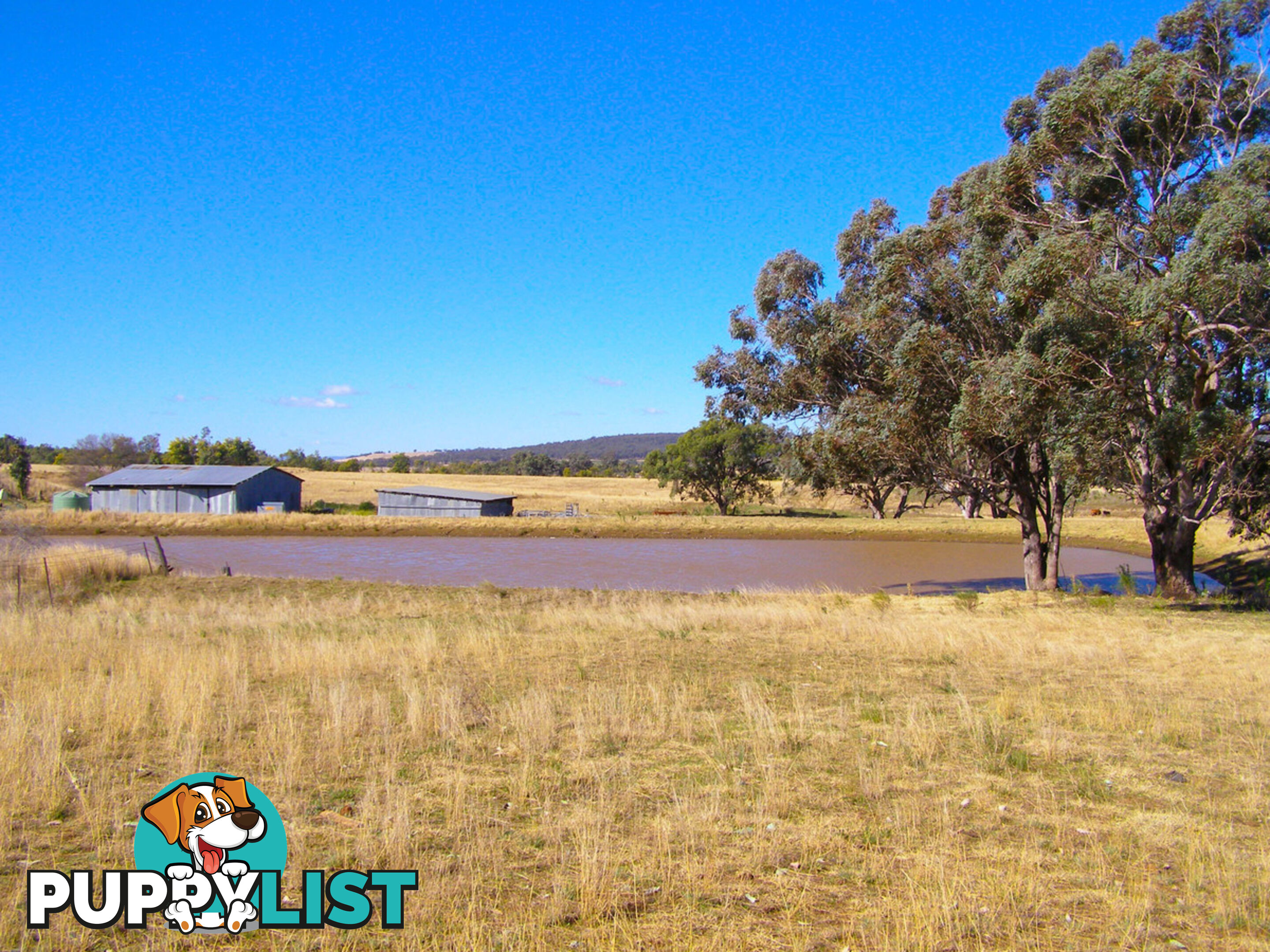 8263 Gwydir Highway INVERELL NSW 2360