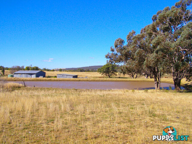 8263 Gwydir Highway INVERELL NSW 2360